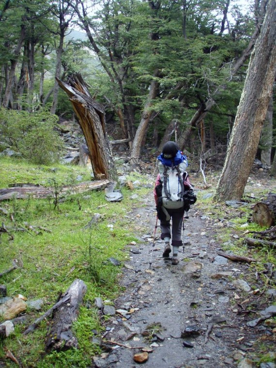 Nahrbtnik večji od Nastje (foto M. Jošt)